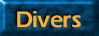 Divers